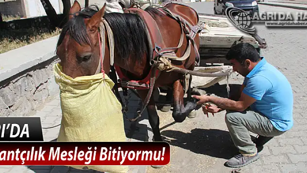Nalbantçılık Mesleğinin Ağrı'da Tek Ustası Kaldı