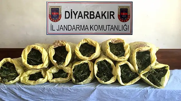 Diyarbakır'da Esrar Operasyonu