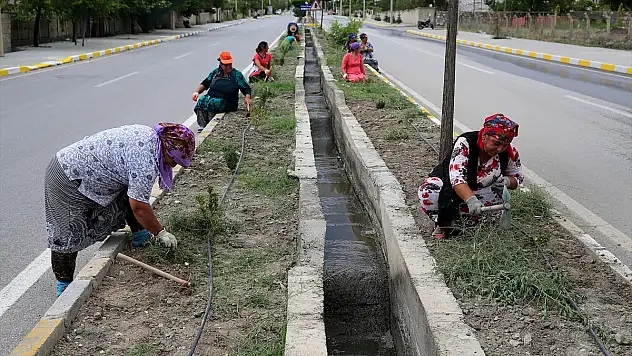 Ahıska Türklerine İşkur Aracılığıyla İş İmkanı