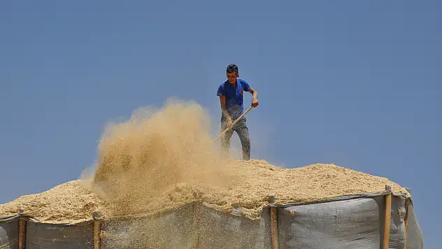 Muş'ta Besicilerin Kış Hazırlığı