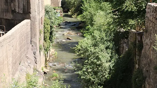 Bitlis Deresi'nde Temizlik Çalışması Başlatıldı