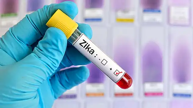 Zika Virüsü Yine Geldi!