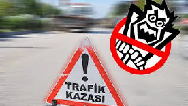 Kamyonet Koyun Sürüsüne Daldı: 1 Yaralı