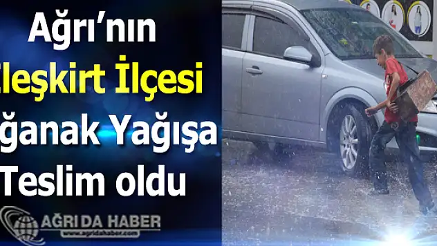 Ağrı'nın Eleşkirt İlçesi Saağnak Yağışa Teslim Oldu