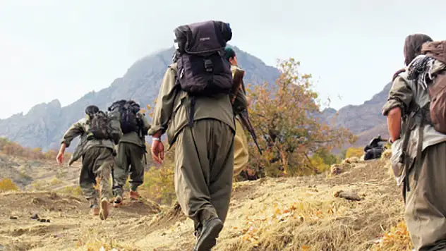 Bingöl'de PKK Terör Örgütüne Operasyon