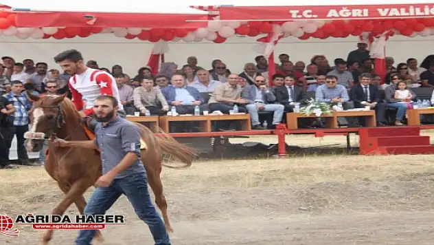 15 Temmuz Şehitleri Anısına Ağrı'da At Yarışları Düzenlendi