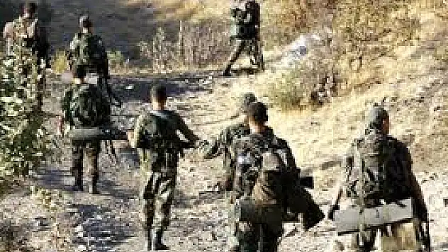 Hakkari'de Terör Operasyonu Sürüyor