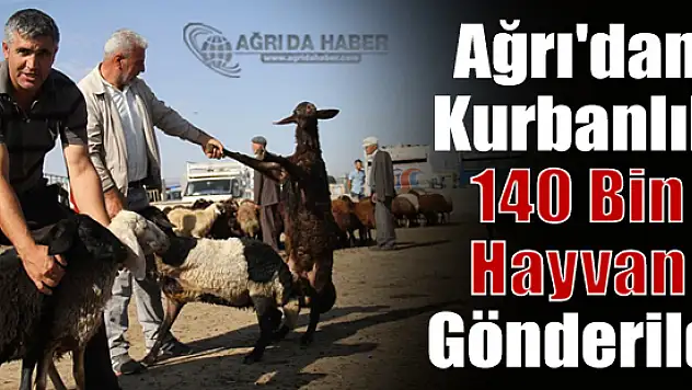 Ağrı'dan Kurbanlık 140 Bin Hayvan Büyük şehirlere Gönderildi