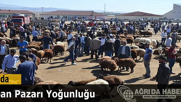 Ağrı Kurban Pazarında Bayram Öncesi Yoğunluk Yüksek