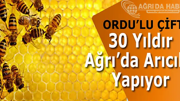 Ordulu Çift 30 Yıldır Ağrı'da Arıcılık Yapıyor
