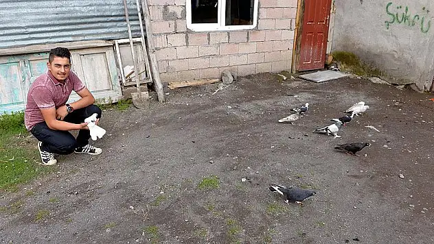 Kurtardıktan sonra Güvercinlere İlgisi Arttı