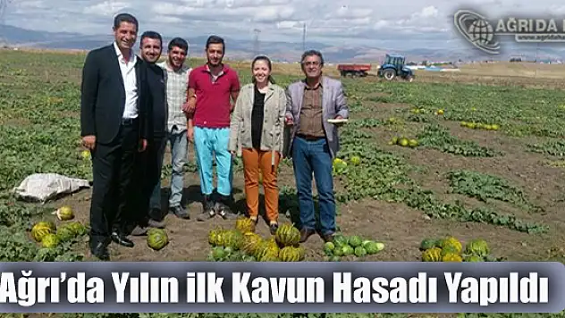 Yurtpınar Köyünde Yılın ilk Kavun Hasadı Yapıldı