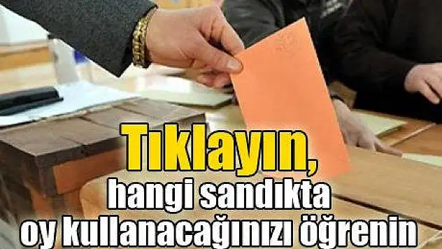 Nerde Oy Kullanacağınım