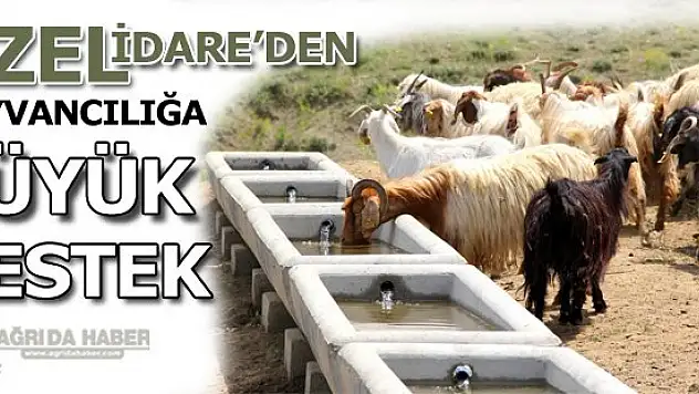 Özel İdare'den Hayvancılığa Büyük Destek