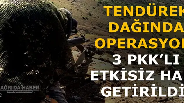 Tendürek Dağında Operasyon: 3 PKK'lı Etkisiz Hale Getirildi