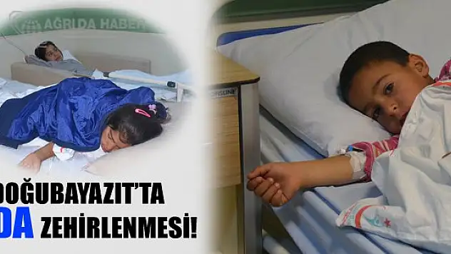 Doğubayazıt'ta Gıda Zehirlenmesi