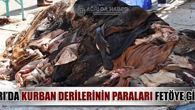 Ağrı'da Kurban Derilerinin Paraları FETÖ'ye!