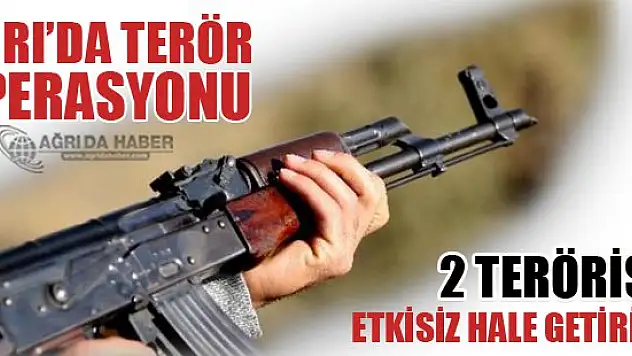 Ağrı'nın Doğubayazıt İlçesinde Eylem Hazılığındaki 2 PKK'lı Öldürüldü