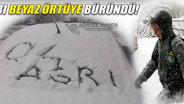 Ağrı'da Gece Başlayan Kar Kenti Beyaza Bürüdü!