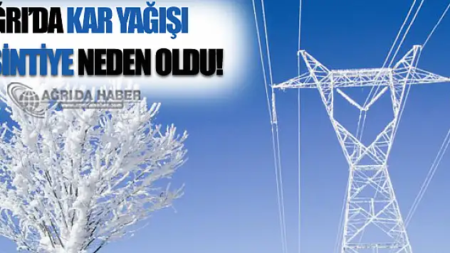 Ağrı'da Kar Yağışı Elektrik Kesintisine Neden Oldu