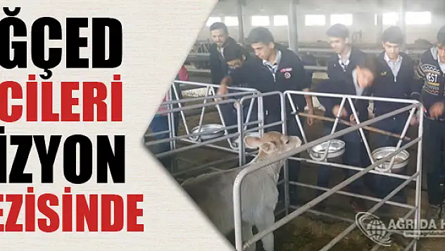 AĞÇED İzcileri Vizyon Gezisinde