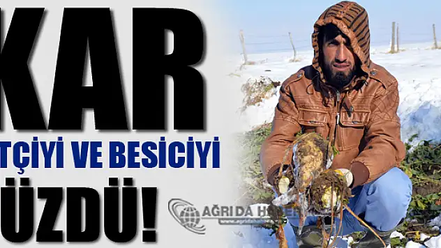 Erken Yağan Kar Çiftçi ve Besiciyi Üzdü