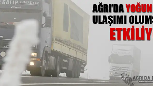 Ağrı'da Yoğun Sis Ulaşımı Olumsuz Etkiledi