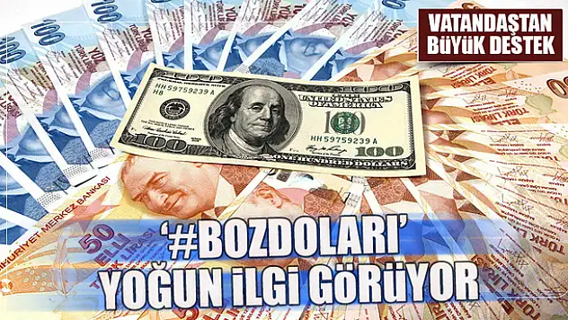Dövizini bozdur kampanyasına yoğun ilgi işte o nedeni ?