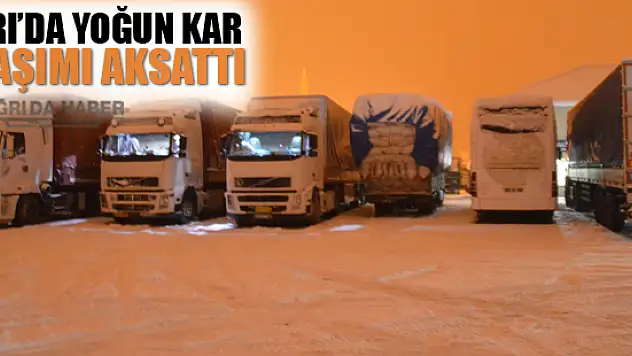 Ağrı'da Kar ve Tipi Ulaşımı Aksattı