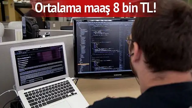 Sıcak Gelişme: Devlete 100 bin bilişim uzmanı alınacak! Bilişim uzmanı nedir?