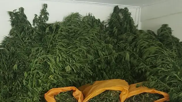 Elazığ'da Uyuşturucuyla Mücadele 19 kilogram esrar !