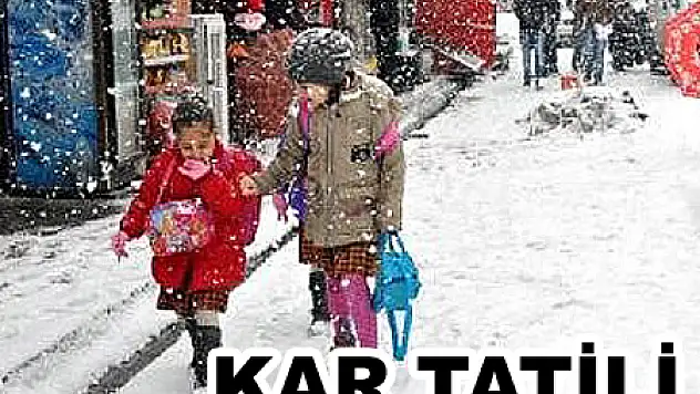 Tunceli'de Bazı ilçelerde Eğitime Kar tatili
