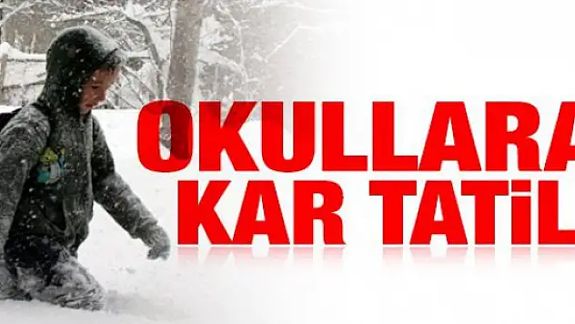 Ağrı'da okullar 3 gün tatil edildi