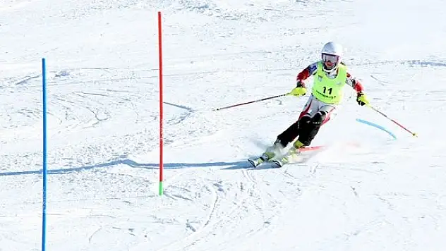 Fıs Anatolian Cup