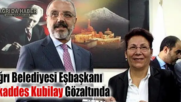 Ağrı Belediye Eşbaşkanı Gözaltına Alındı