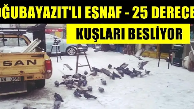 Doğubayazıt'lı Esnaflar -25 Derecede Kuşları Yemsiz Bırakmadı