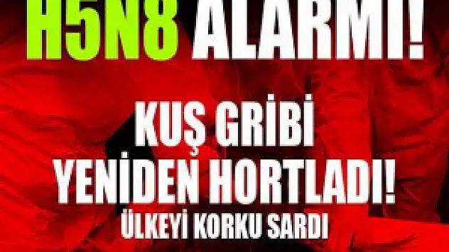 Türkiye Sınırında Korkutan Kuş Giribi H5N8 Virüsü Tesbiti