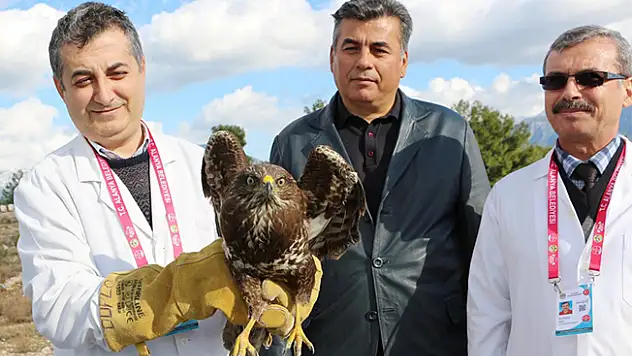 Alanya'da Tedavi edilen şahin doğaya salındı