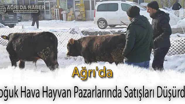 Ağrı'da Soğuk Hava Hayvan Pazarlarında Satışları Düşürdü