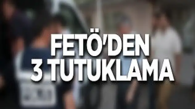 FETÖ/PYD Oparasyonunda Ağrı'da 3 Tutuklama