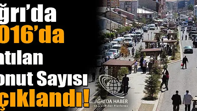 Ağrı'da 2016 Yılında Satılan Taşınmaz Konut Sayısı Açıklandı