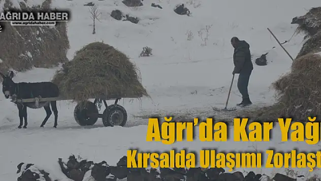 Tendürek Dağı ve Balık Gölü çevresinde Yoğun Kar Yağışı Ulaşımı Zorlaştırdı