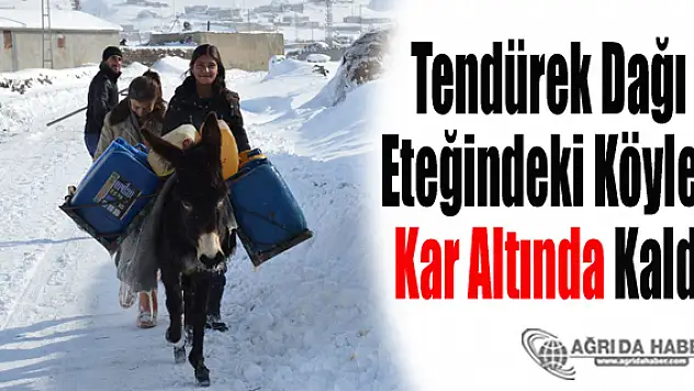 Ağrı Tendürek Dağı Eteğindeki Köyler Kar Altında Kaldı