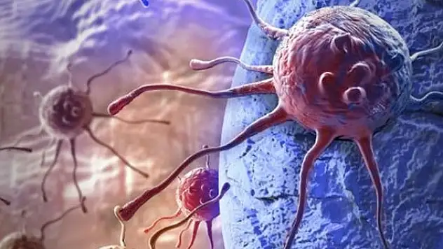 Uzmanı Ölmez, kanserle ilgili doğru bilinen yanlışları söyledi