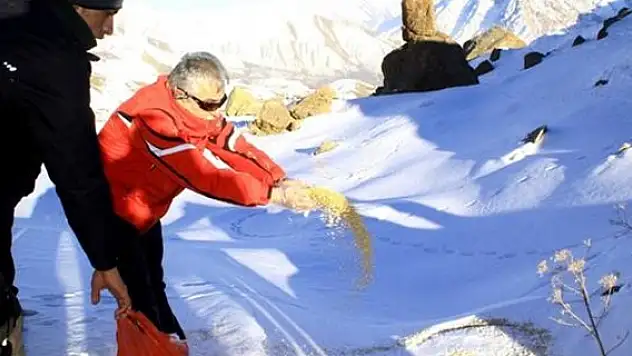 Şivekür Tepesi'ne Zirve Tırmanışı