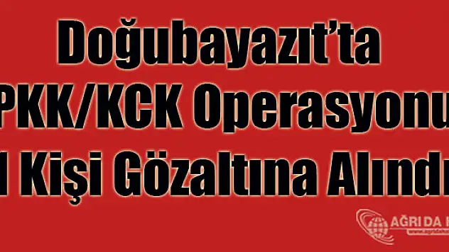 Doğubayazıt'ta 11 kişi gözaltına alındı !