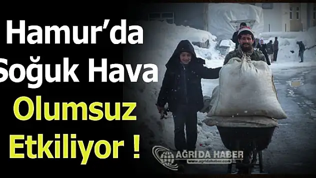 Hamur'da soğuk hava ve tipi hayatı olumsuz etkiliyor