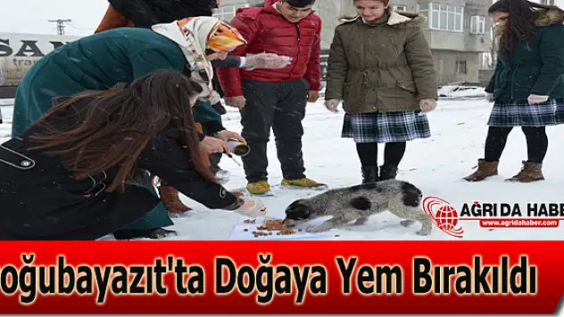 Doğubayazıt'ta Hayvanlar İçin Doğaya Yem Bırakıldı