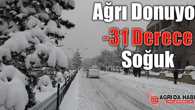 Ağrı Donuyor -31 Derece Soğuk