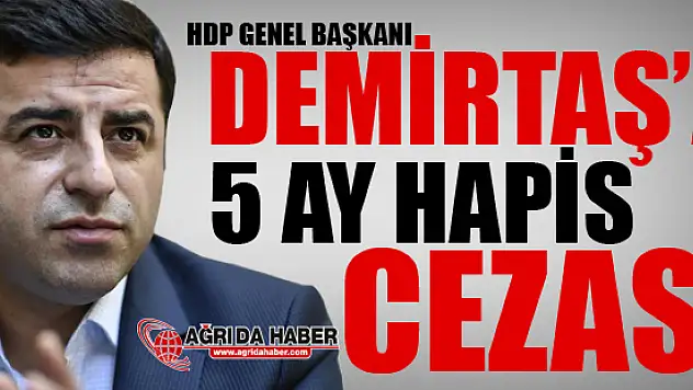 Selahattin Demirtaş'a 5 Ay Hapis Cezası Verildi!